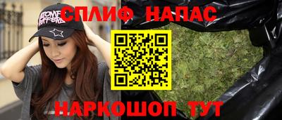 прущие грибы Камышлов
