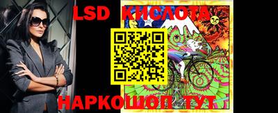 прущие грибы Камышлов