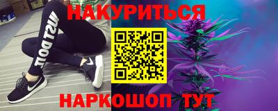 прущие грибы Камышлов