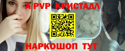 тгк Канаш