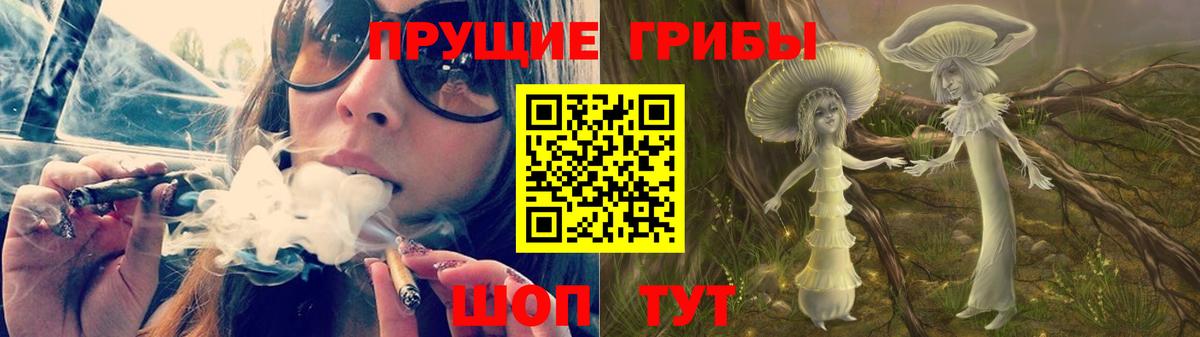 где купить наркоту  Псилоцибиновые грибы ЛСД  Вход с VPN  Краснознаменск 
